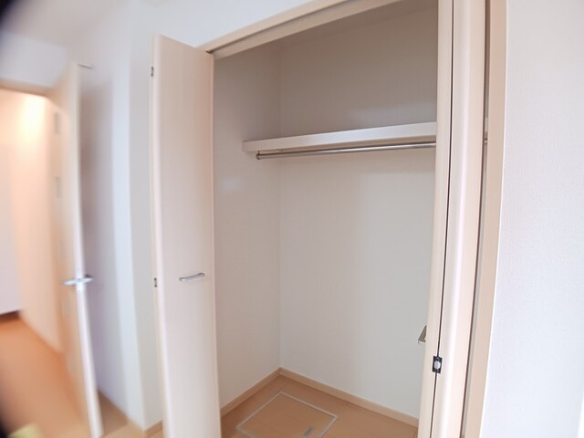 クリプトメリア　アヴェニュ－ その他4