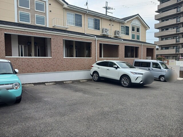 クリプトメリア　アヴェニュ－ その他5