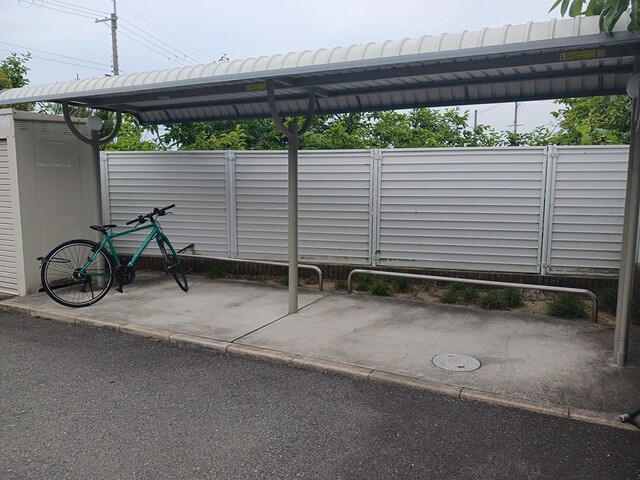 クリプトメリア　アヴェニュ－ その他6