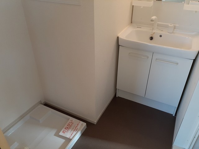 セントーレア その他2