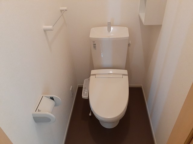 セントーレア その他3