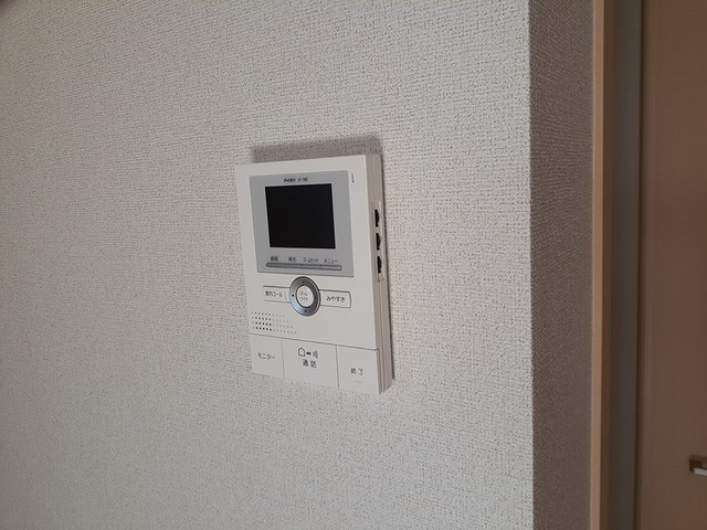 セントーレア その他5