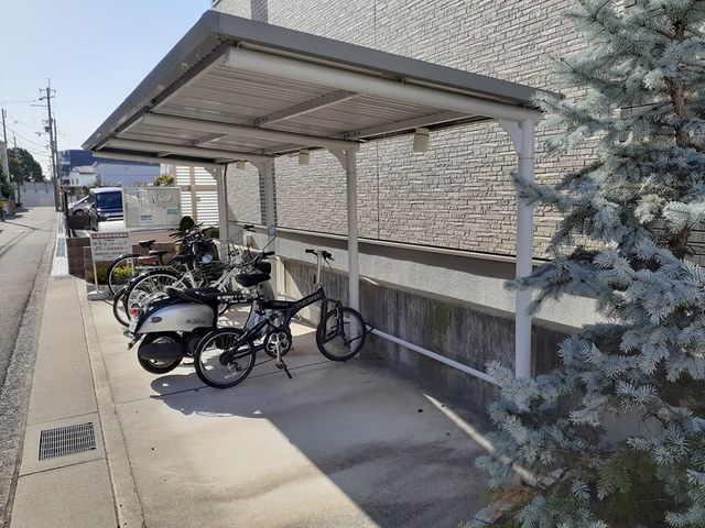 セントーレア その他7