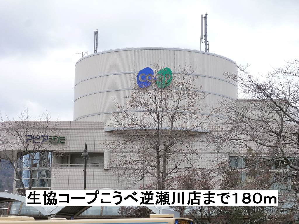 タカ・アンジュ その他外観2