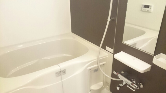 ノーサイド立葉 風呂画像