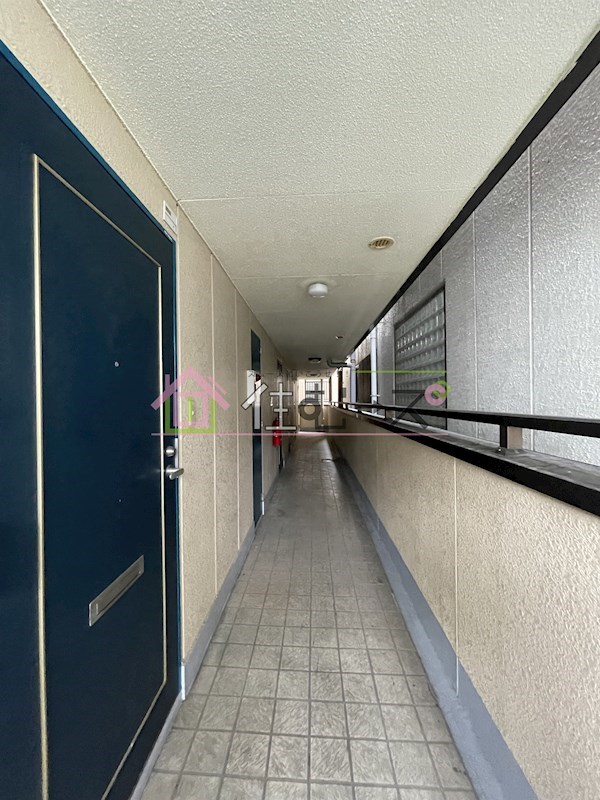 遠里小野4丁目ハイツ その他外観6