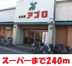 セレンディピティ　プレシャス その他4