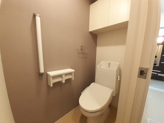 プラシード その他2