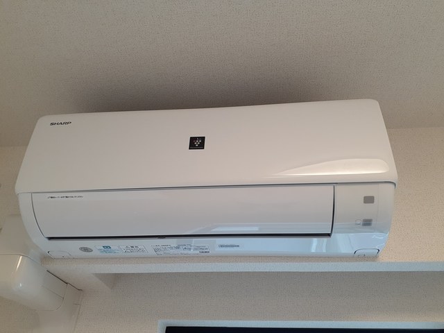 プラシード その他4