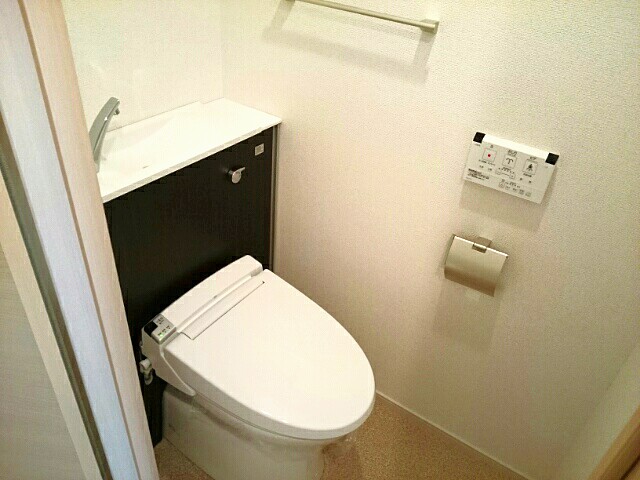 ｂｒｉｓａ　ｆｅｌｉｚ その他2