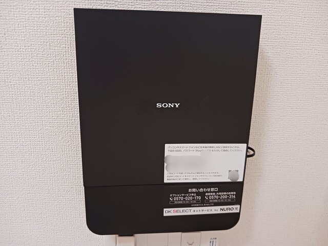 ｂｒｉｓａ　ｆｅｌｉｚ その他3