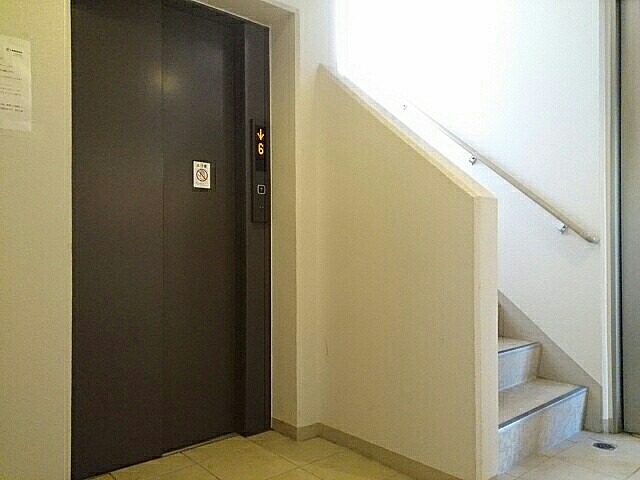 ｂｒｉｓａ　ｆｅｌｉｚ その他5