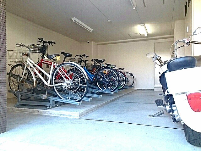 ｂｒｉｓａ　ｆｅｌｉｚ その他7