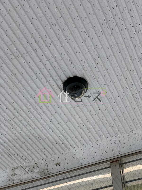 メゾンサクラ９ その他外観6