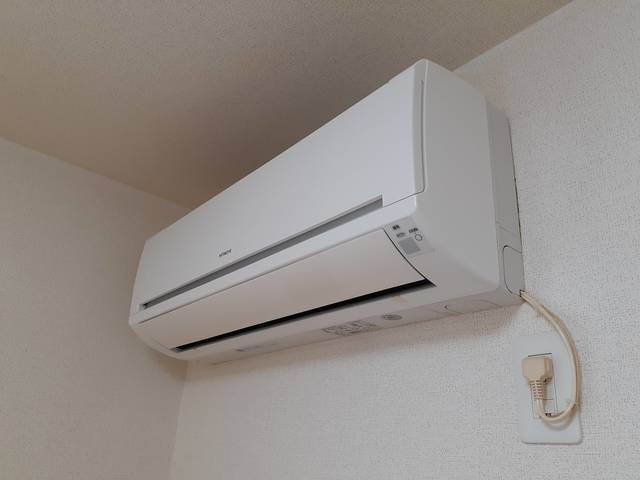 デイジー その他1