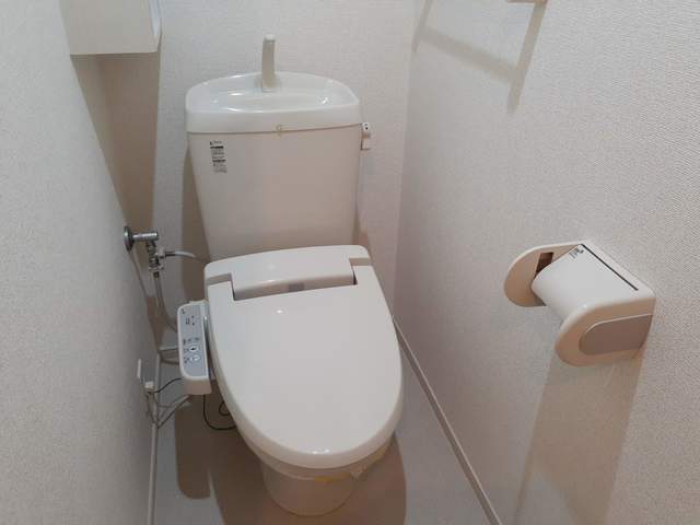 デイジー その他5