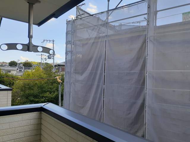 デイジー ベランダ