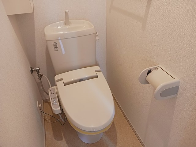 デイジー その他5