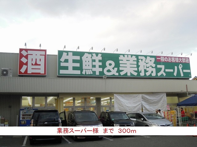 ラッフィナート　フィオーレ　Ⅱ その他外観2