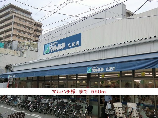 ラッフィナート　フィオーレ　Ⅱ その他外観4