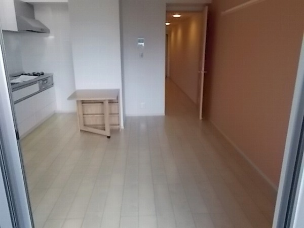 メゾン・ド・ラフレシール リビング