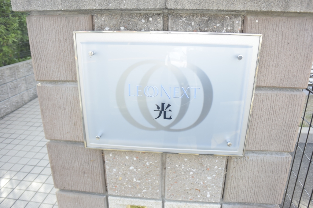 レオネクスト光 その他6