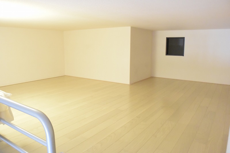 レオネクスト光 その他11