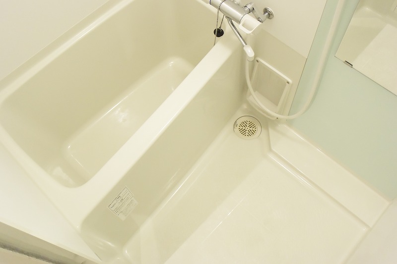 レオネクスト光 風呂画像