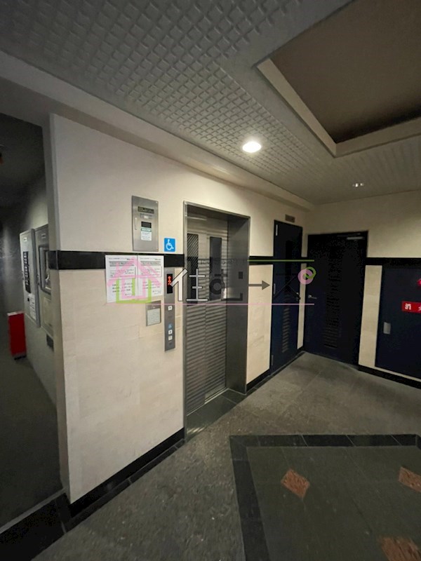 グランディール阪南町Ⅱ番館 その他外観4