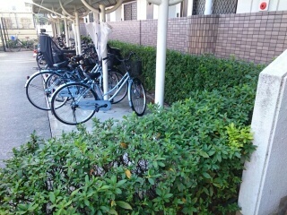 ヴァートゥールーツ その他7