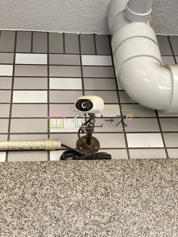 パレダイト谷町 その他外観5