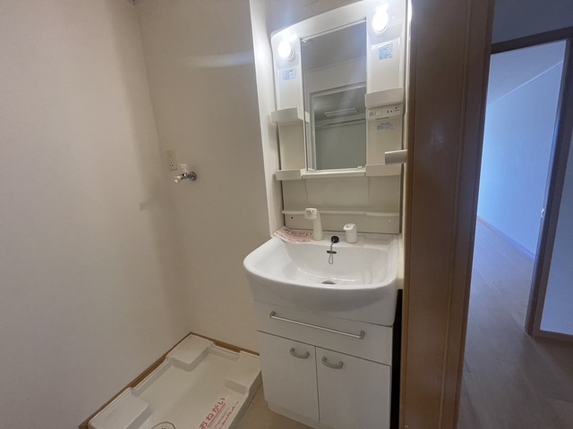 サテンドール　セレーネ その他1