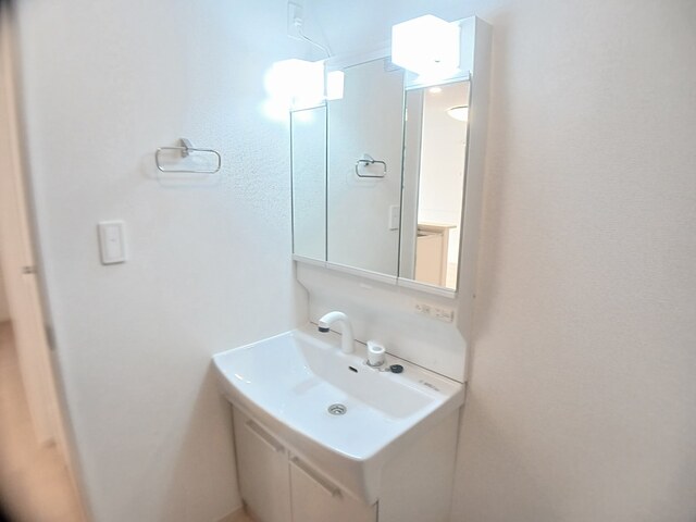 フェルド菩提 その他1