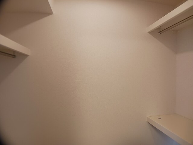 フェルド菩提 その他4