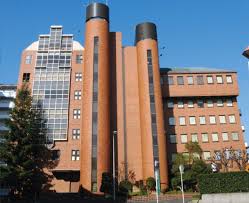 メゾン緑橋 周辺画像6