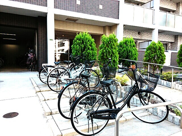 プリムローズ　エレガント その他6