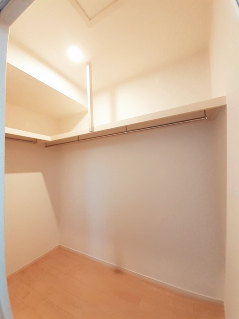 カクタス その他3