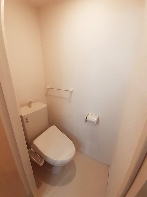 カクタス その他4