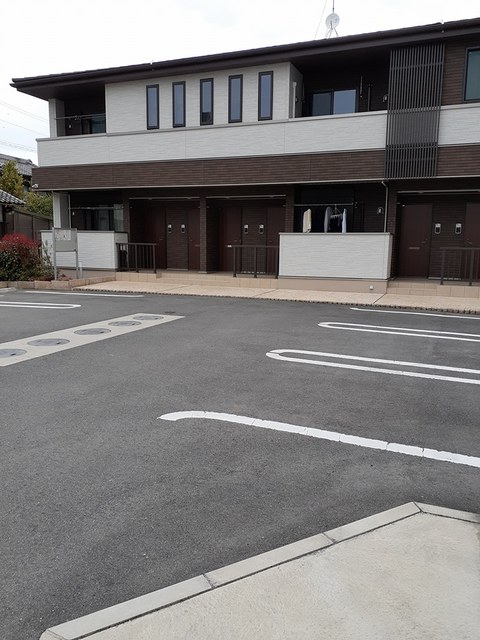 カクタス その他5