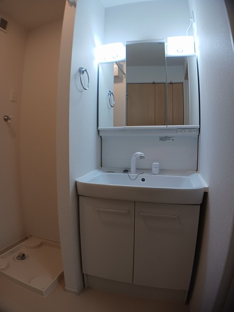 カンファーツリーＢ その他1