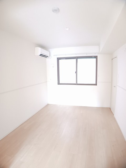 カンファーツリーＢ その他2