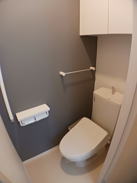 カンファーツリーＢ その他4