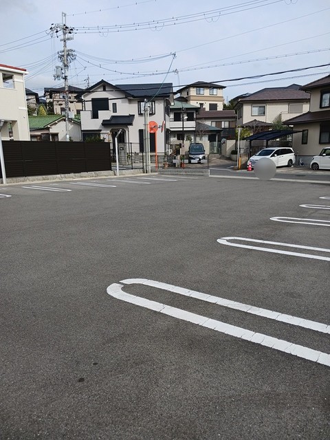 カンファーツリーＢ その他5