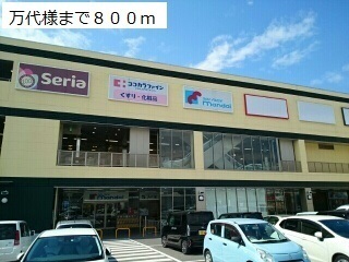 カンファーツリーＢ その他外観6