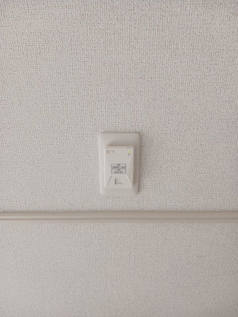 カンファーツリーＢ その他7