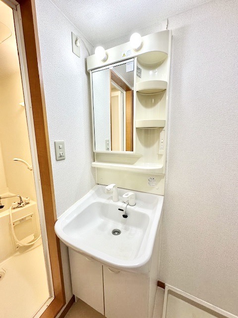 クノスペン その他1