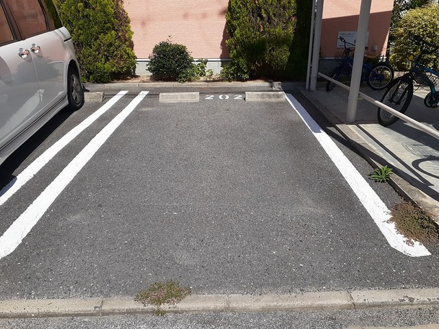 プリムローズ その他7