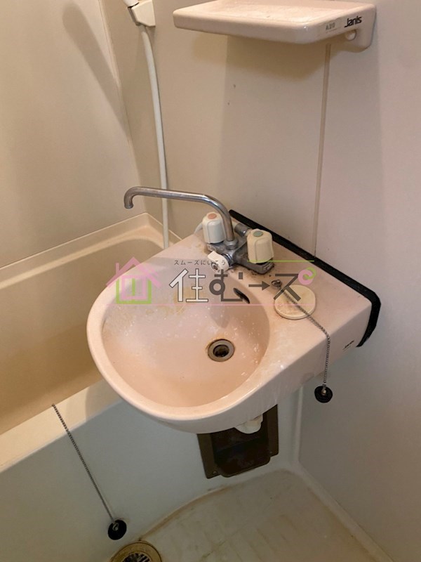 ラパンジール大国5 その他4