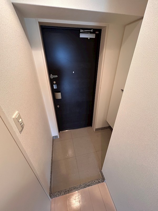 レジュールアッシュPREMIUM TWIN-Ⅱ  玄関