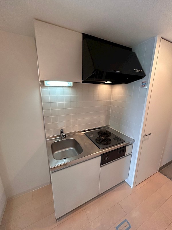 レジュールアッシュPREMIUM TWIN-Ⅱ  キッチン